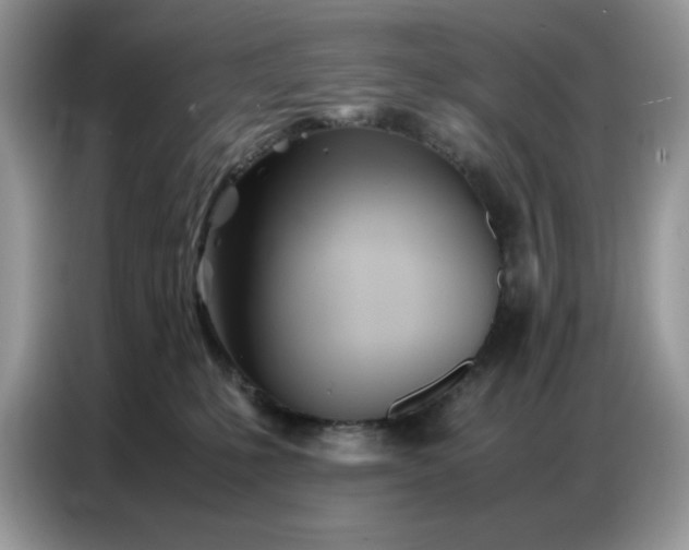 X0000086740231200704271657