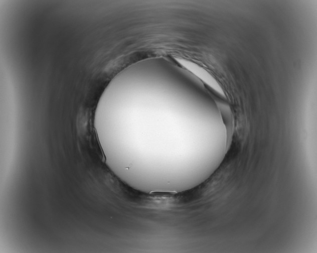 X0000086740233200704271656