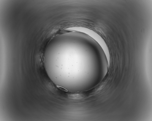 X0000086740237200704271656