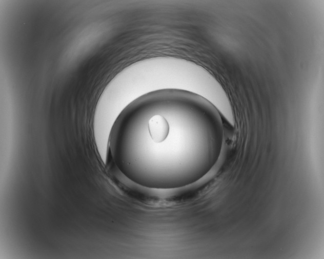 X0000086740239200704271656