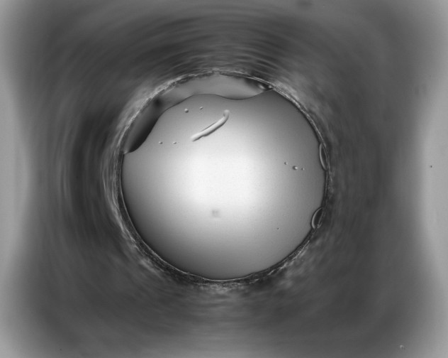 X0000086740241200704271656