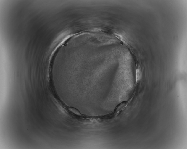 X0000086740243200704271656