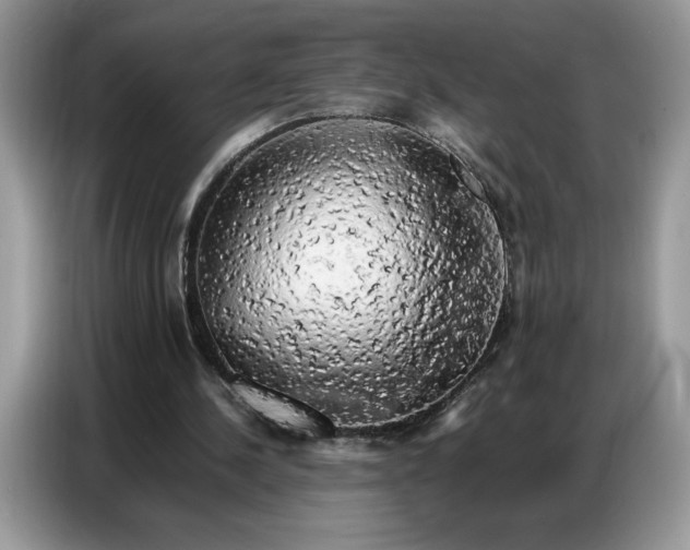 X0000086740244200704271656