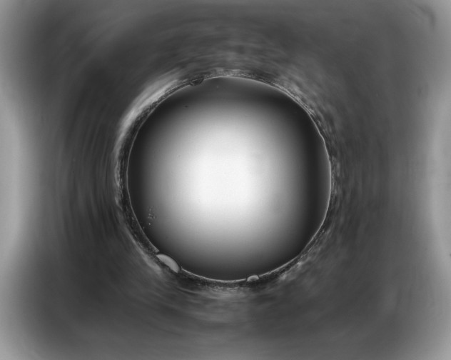 X0000086740245200704271656