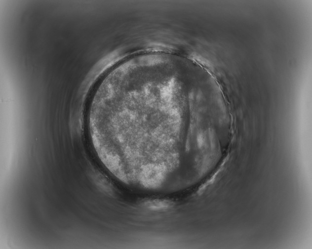 X0000086740247200704271656