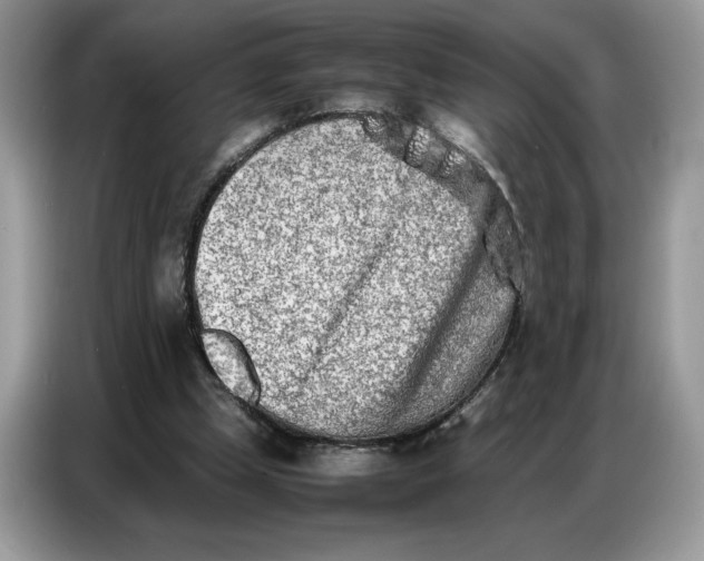 X0000086740249200704271656