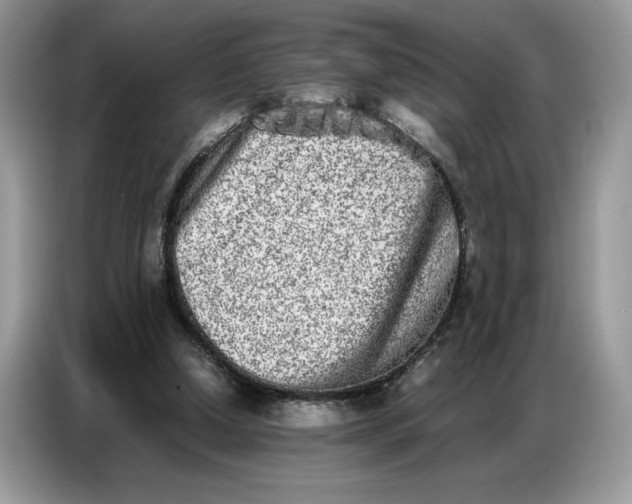 X0000086740250200704271656