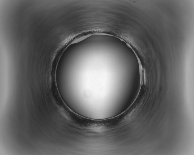 X0000086740252200704271656