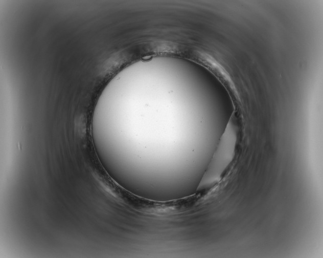 X0000086740257200704271656