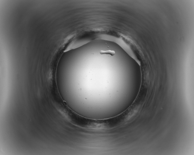 X0000086740260200704271656