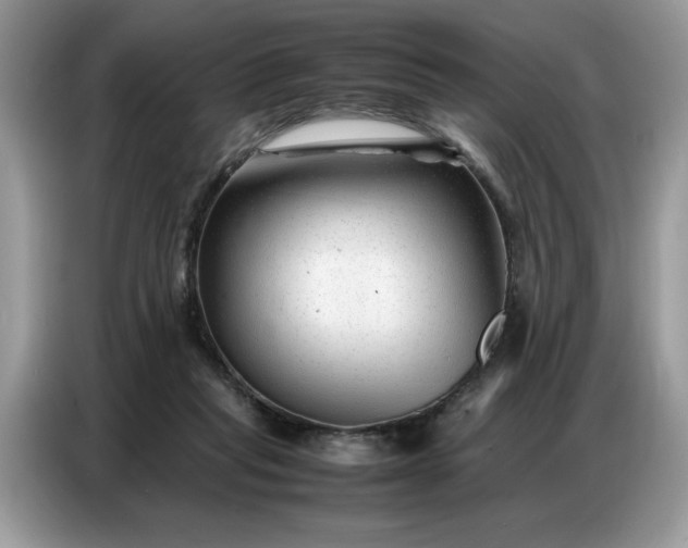 X0000086740261200704271656