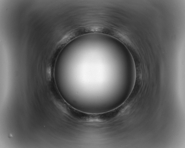 X0000086740262200704271656