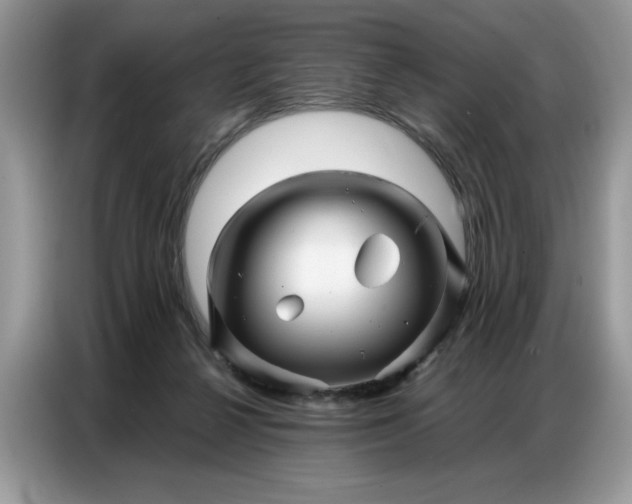 X0000086740264200704271656