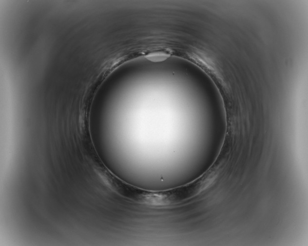 X0000086740265200704271656