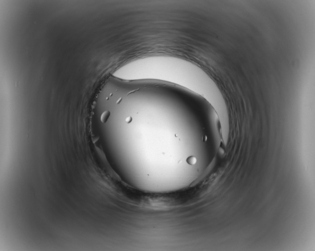 X0000086740268200704271656