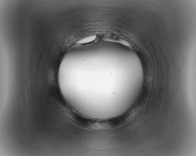 X0000086740270200704271656