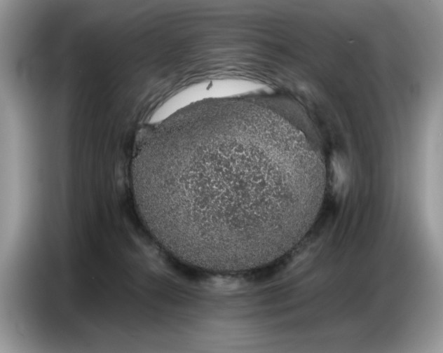 X0000086740272200704271656