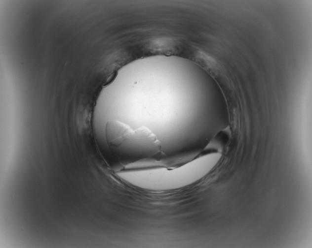 X0000086740281200704271656