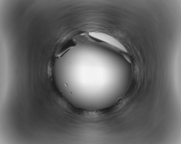 X0000086740282200704271656