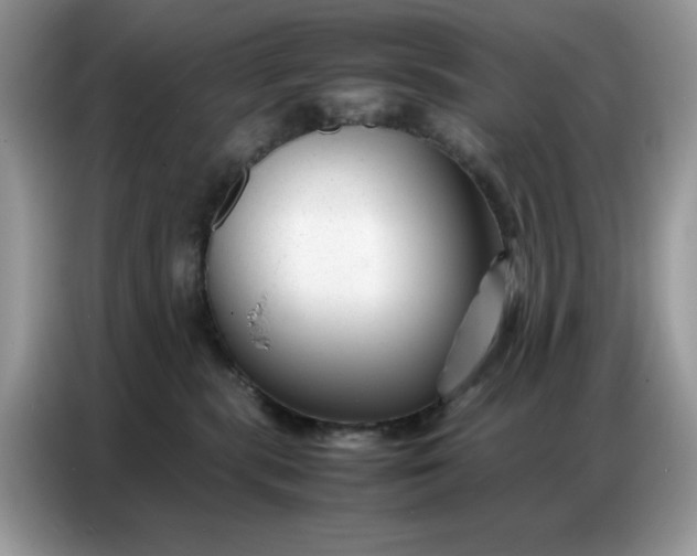 X0000086740283200704271656