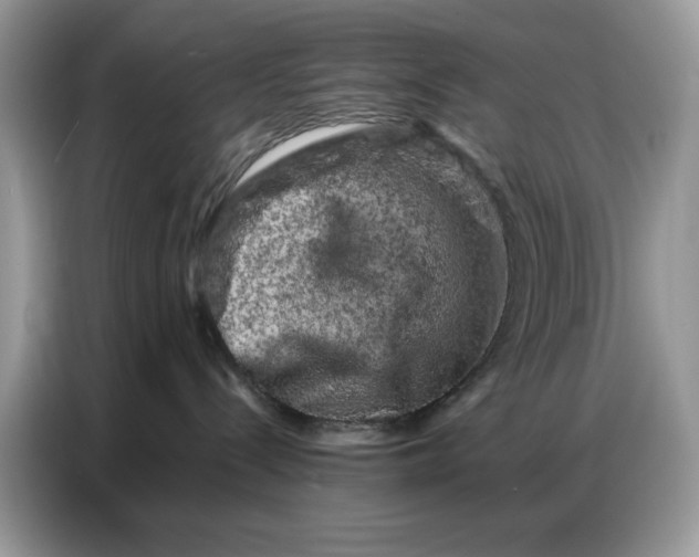 X0000086740288200704271656