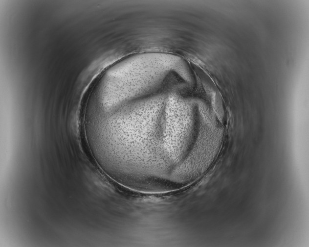 X0000086740290200704271656