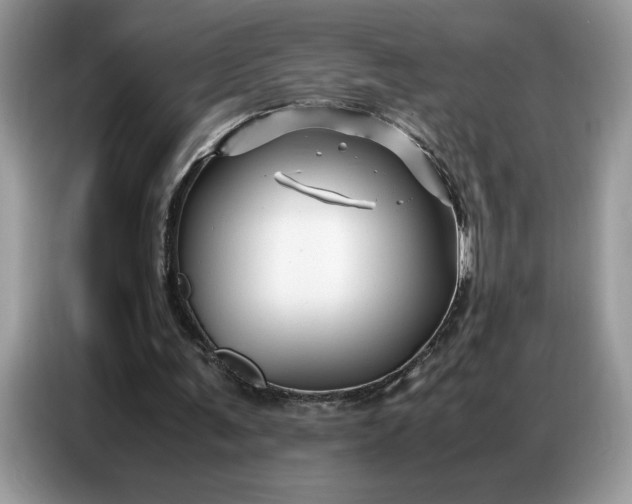 X0000086740291200704271656