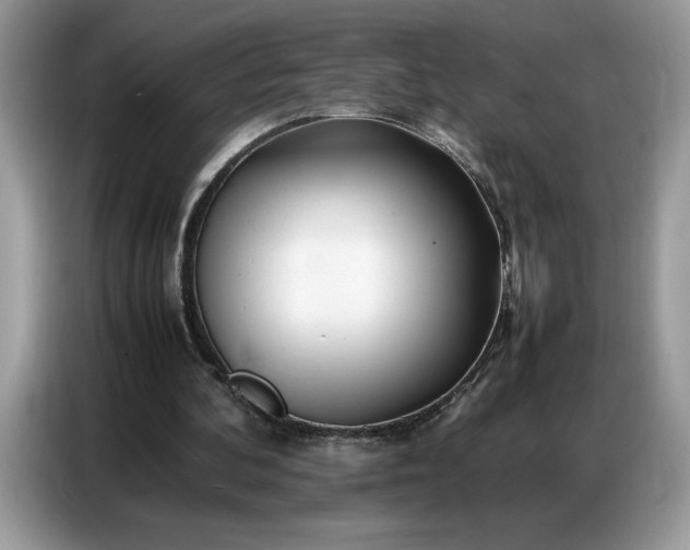 X0000086740292200704271656