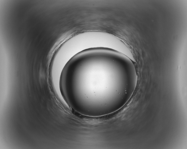 X0000086740293200704271656