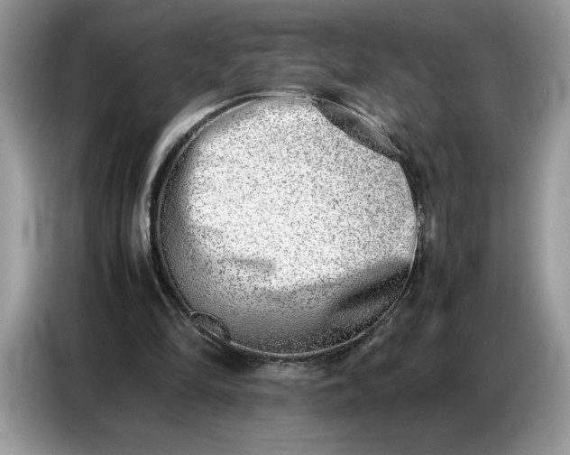 X0000086740294200704271656