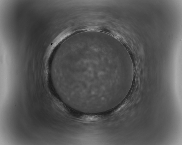 X0000086740295200704271656