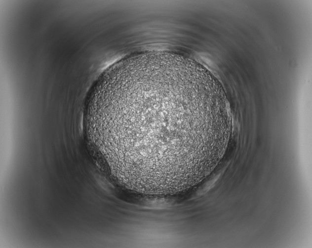 X0000086740301200704271656