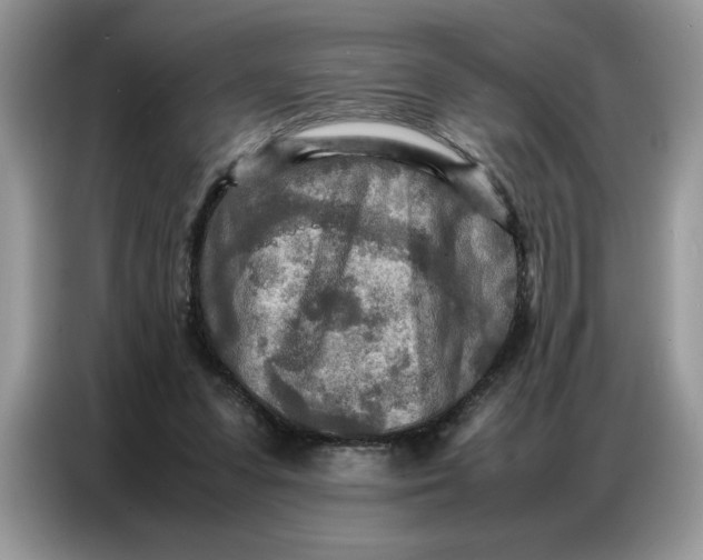 X0000086740303200704271656