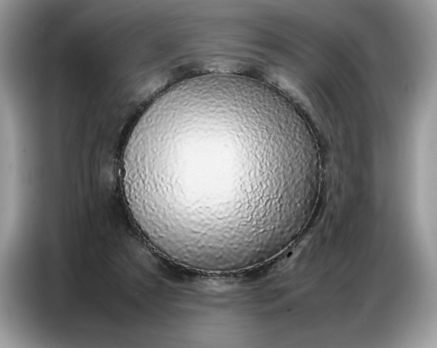 X0000086740305200704271656