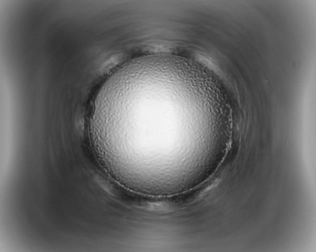 X0000086740309200704271656