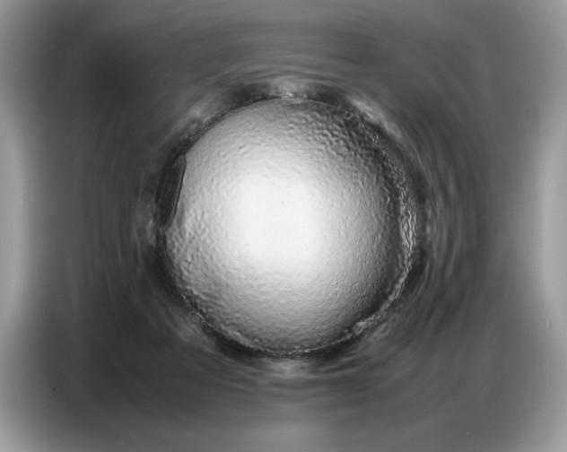 X0000086740313200704271655