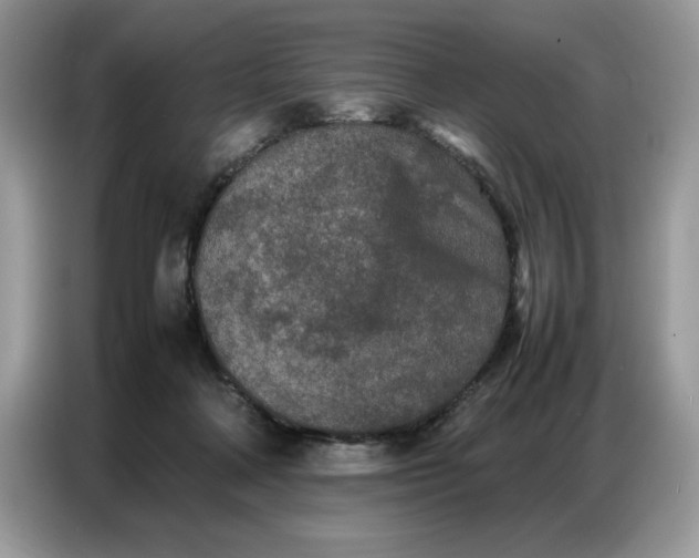 X0000086740314200704271655