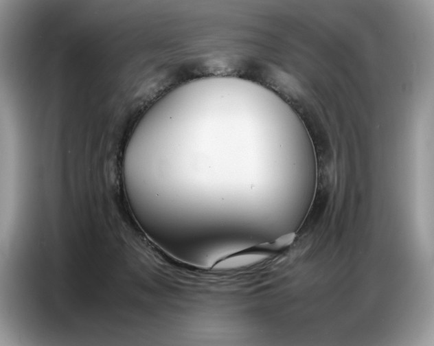 X0000086740317200704271655