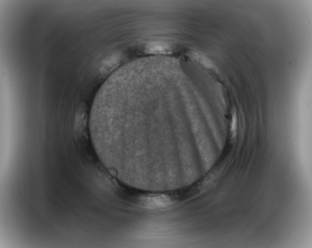 X0000086740322200704271655