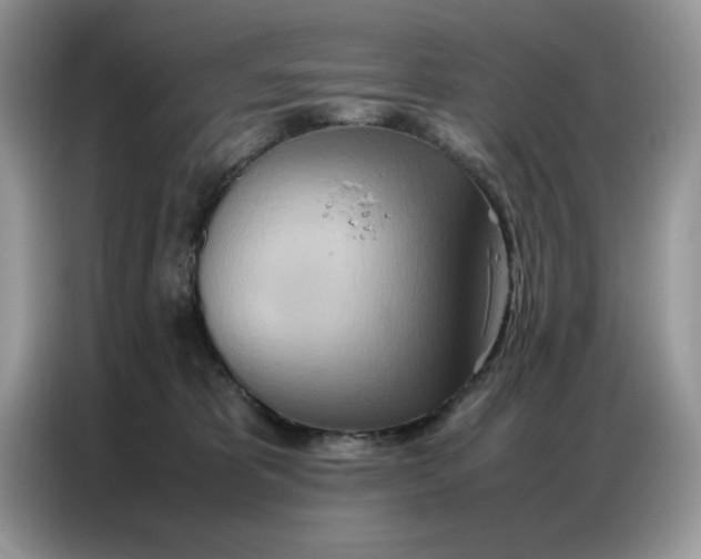 X0000086740325200704271655