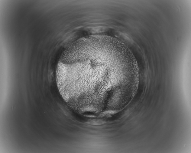 X0000086740327200704271655