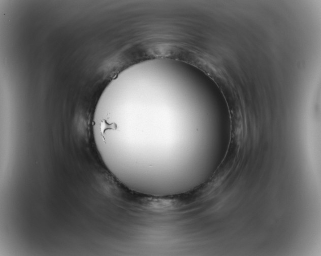 X0000086740332200704271655