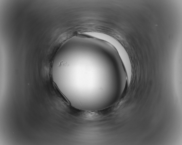 X0000086740333200704271655