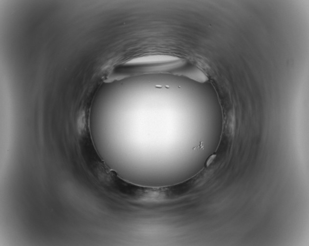 X0000086740335200704271655