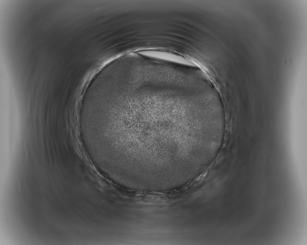 X0000086740337200704271655