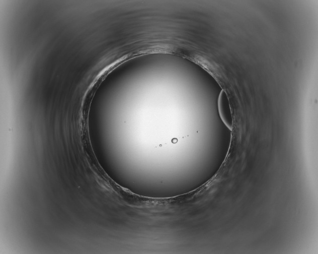 X0000086740338200704271655