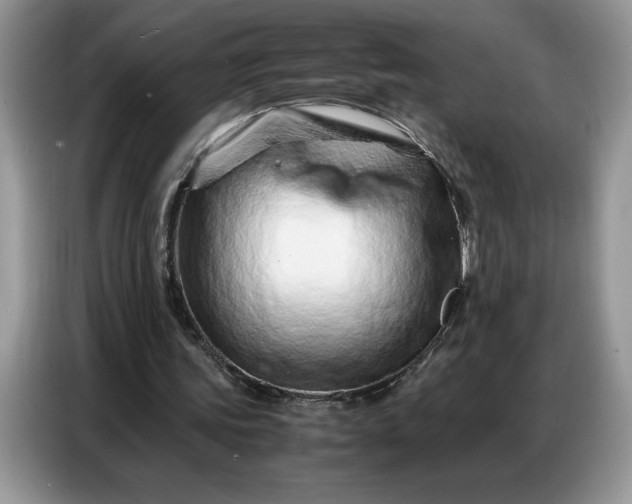 X0000086740339200704271655