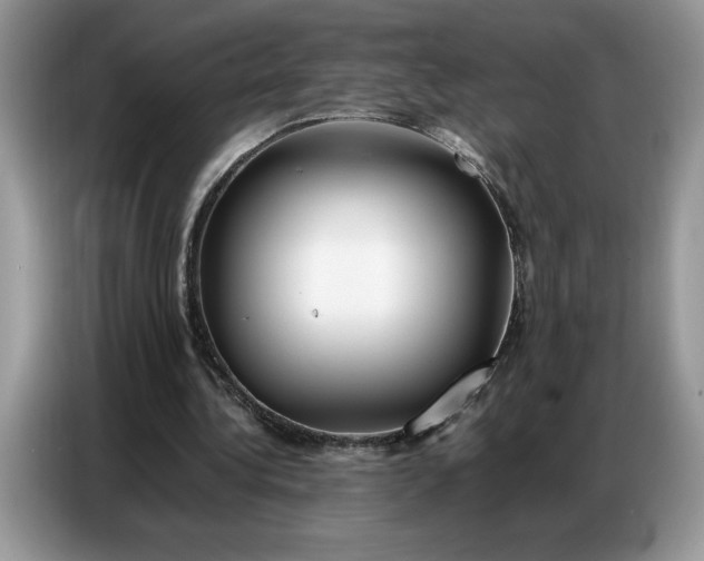 X0000086740340200704271655