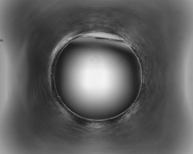 X0000086740341200704271655