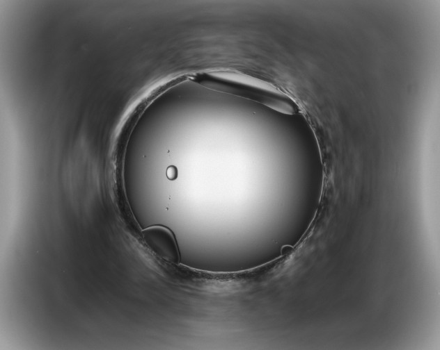 X0000086740342200704271655